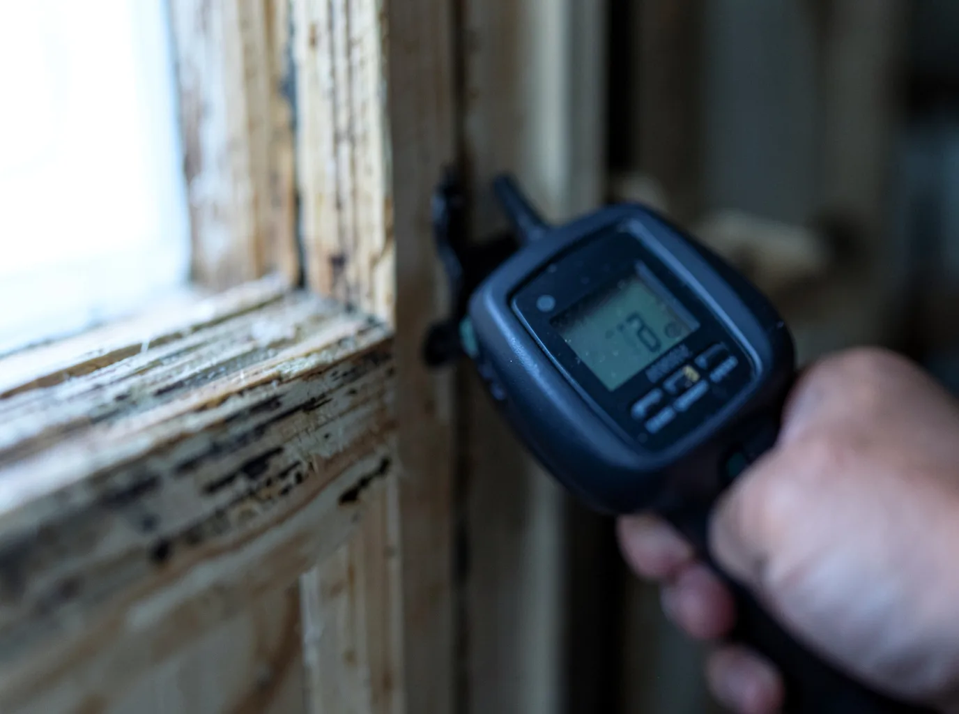 Commercial Water Damage Restoration in Josephine, TX